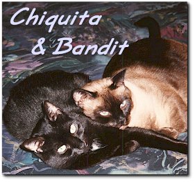 Chiquita & Bandit